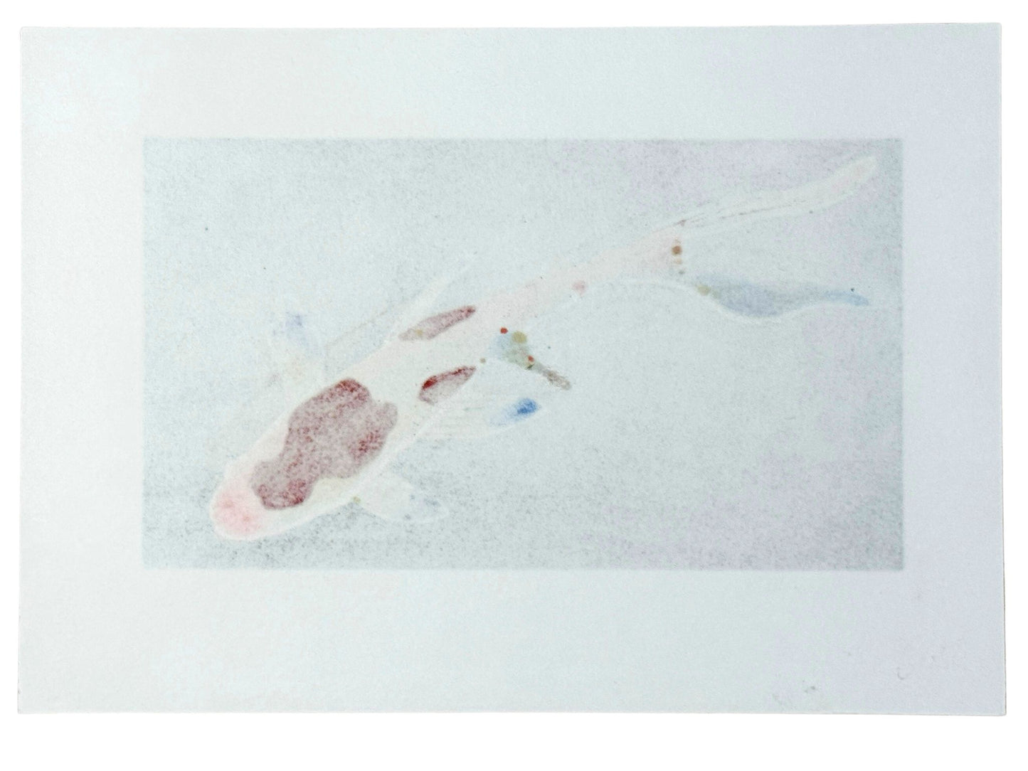 Estampe japonaise de Kunio Kaneko représentant une carpe koï sur fond noir verso