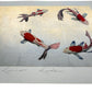 Estampe japonaise de Kunio Kaneko représentant des carpes Koï sur fond doré et argenté, vue de profil des reflets brillants