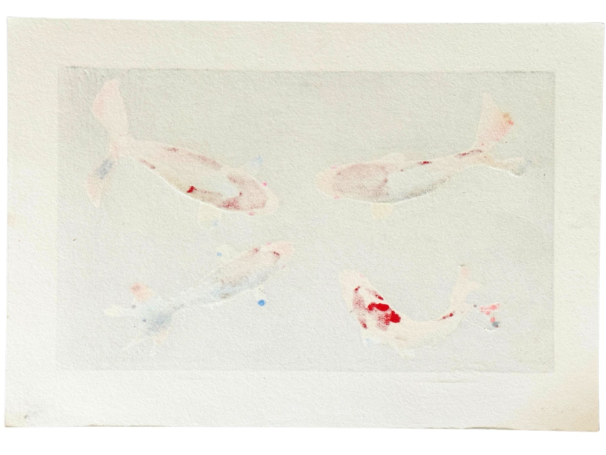 Estampe Japonaise de Kunio Kaneko représentant quatre carpes Koï sur fond noir verso