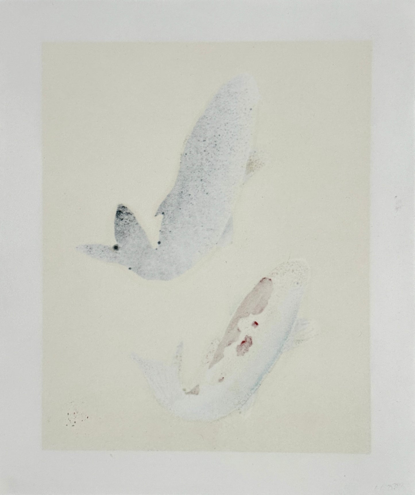 Estampe japonaise de Kunio Kaneko représentant deux carpes koï en sur fond doré et argenté verso