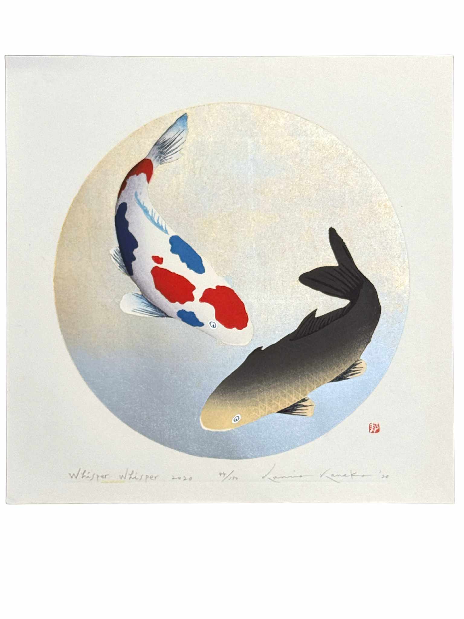 estampe japonaise de Kunio Kaneko, deux capres Koi, une tricolore et une gold