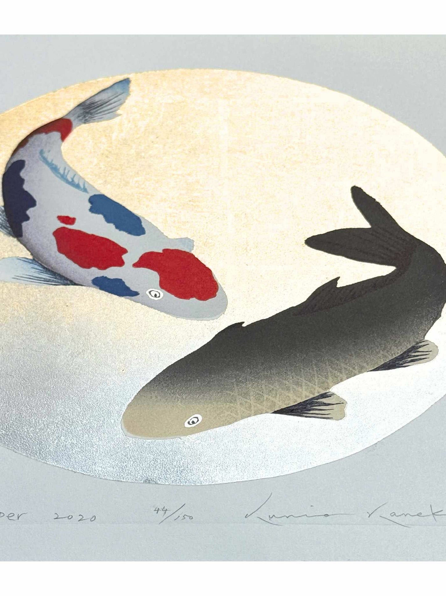 estampe japonaise de Kunio Kaneko, deux capres Koi, une tricolore et une gold sur fond or et argent