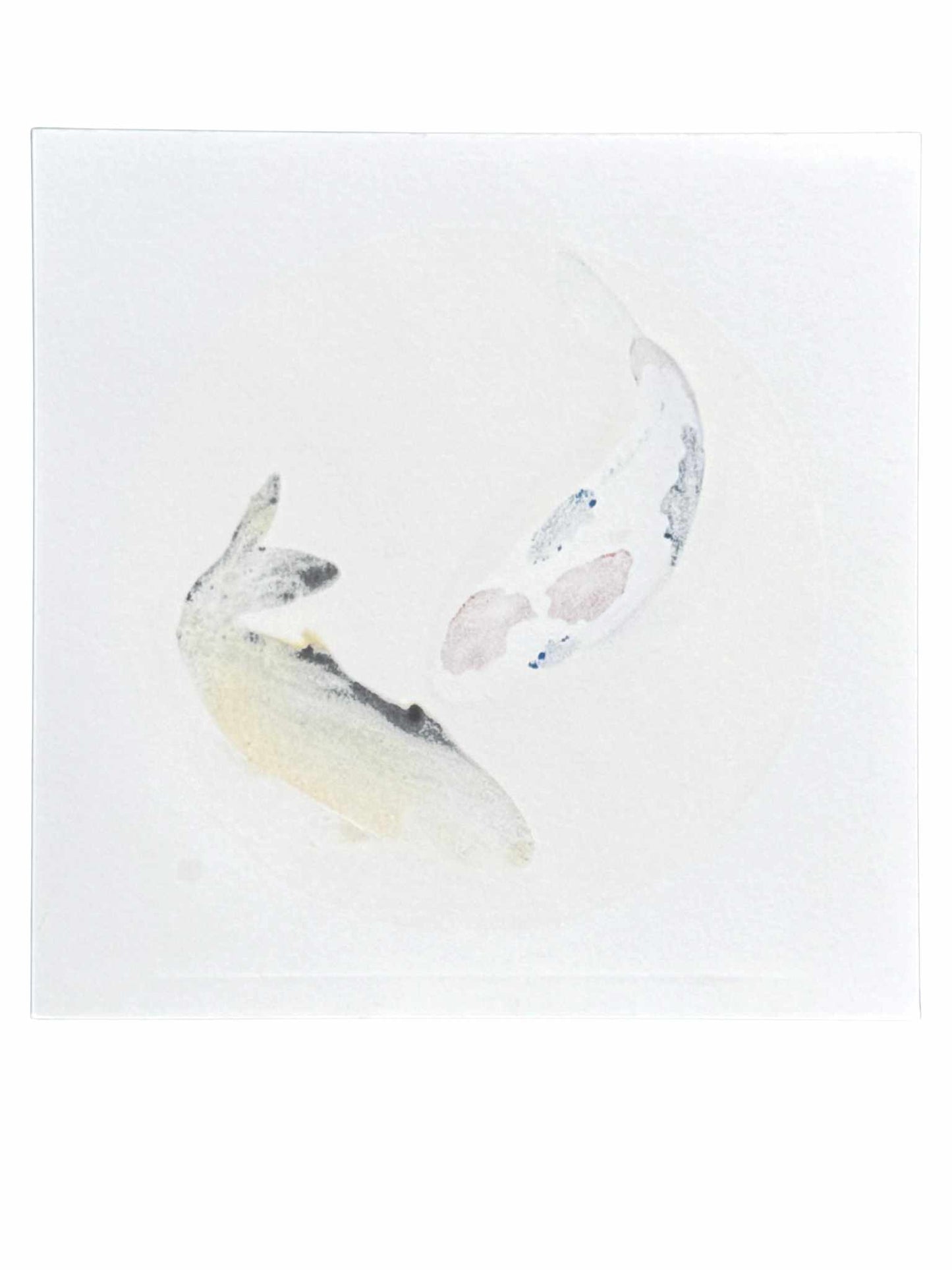 estampe japonaise de Kunio Kaneko, deux capres Koi, une tricolore et une gold, le verso