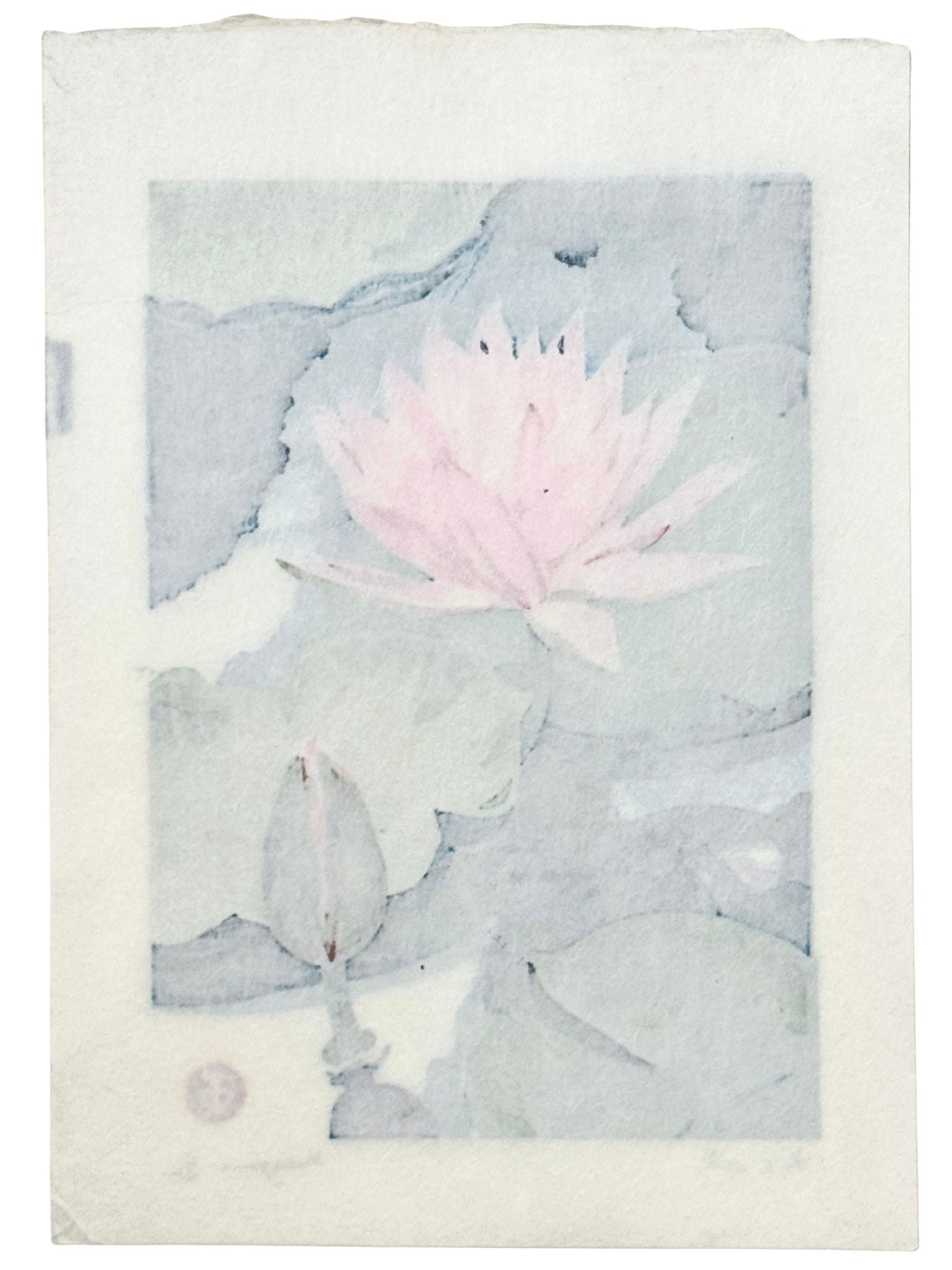 Estampe Japonaise de Mibugawa Junichi représentant une fleur de lotus rose à la surface de l'eau, le verso