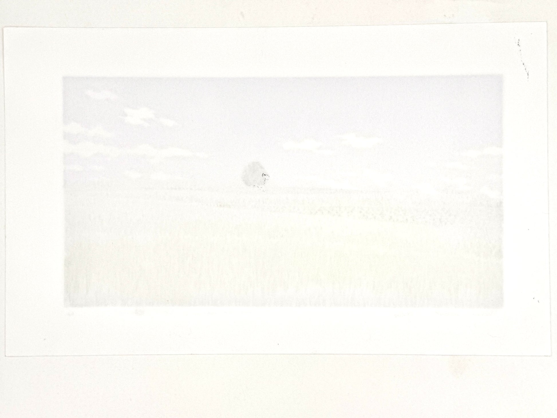 estampe japonaise contemporaine de paysage, chmps de blé, arbre et fond argent, dos de l'estampe