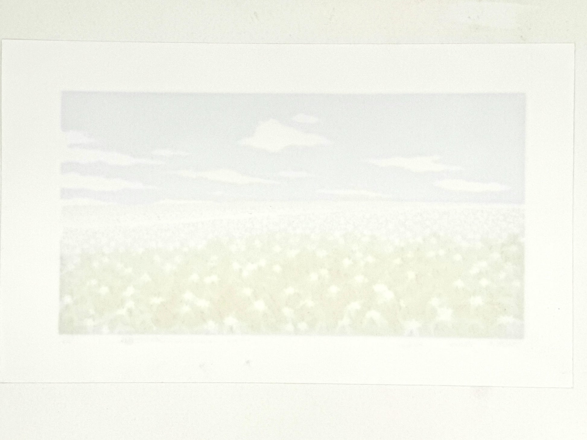 estampe japonaise contemporaine de paysage, champs de pommes de terre en fleur et ciel argenté, dos de l'estampe
