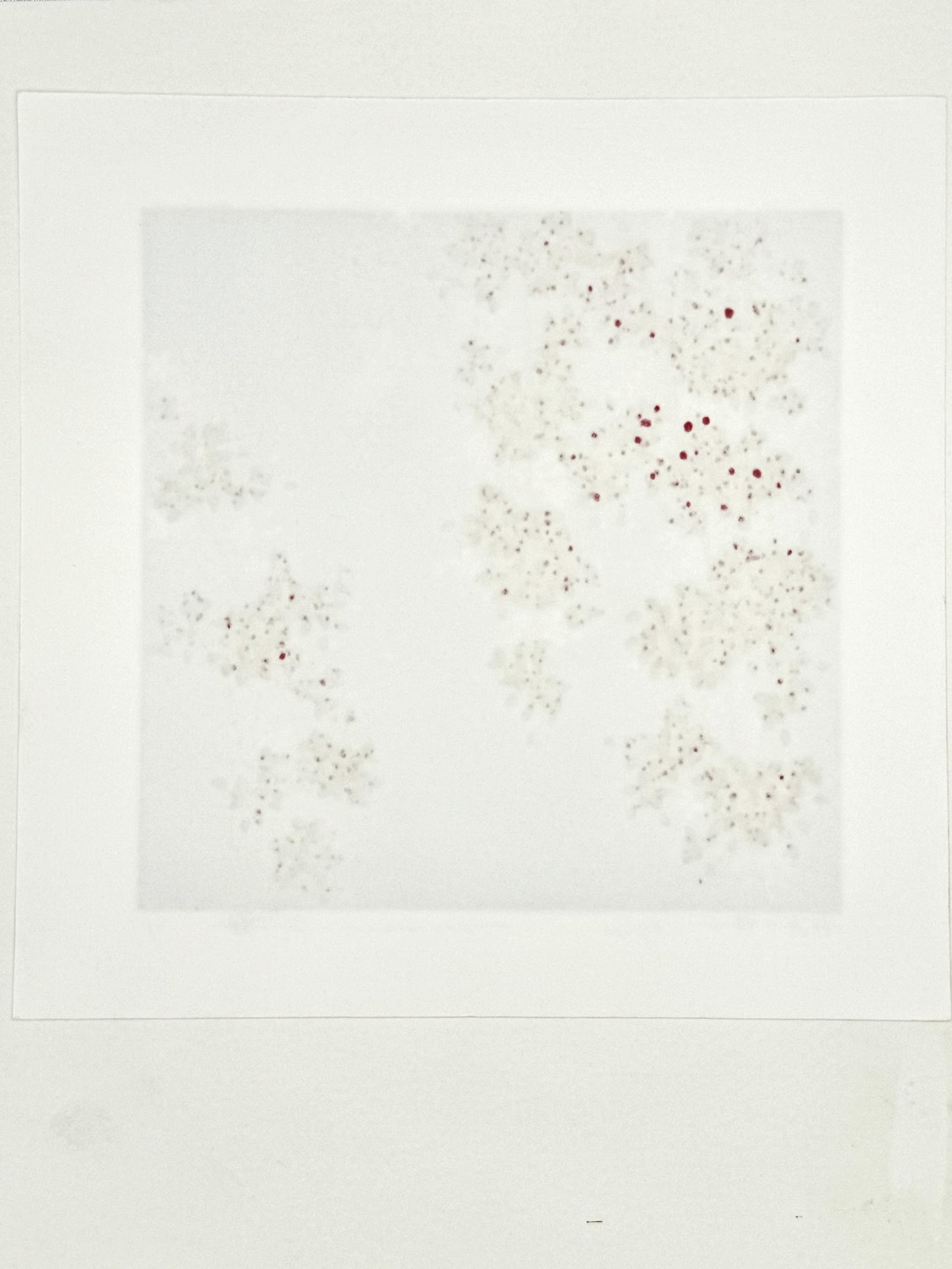 estampe japonaise contemporaine branche de cerisier pleureur avec fleurs rouges et roses sur fond or, dos de l'estampe