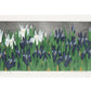 estampe japonaise de Namiki Hajime, jardin d'iris bleu et blanc sur fond argent et or