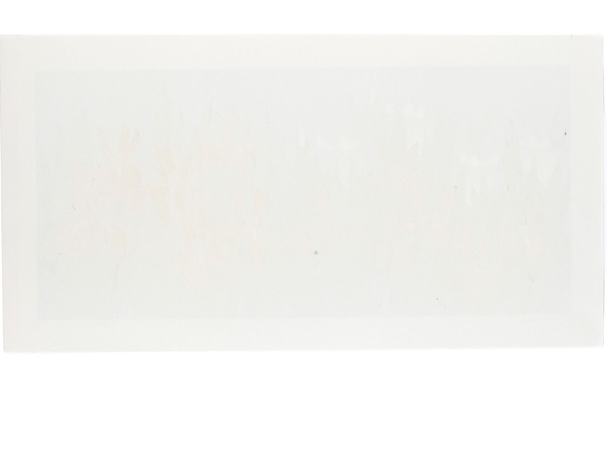 estampe japonaise de Namiki Hajime, jardin d'iris bleu et blanc sur fond argent et or, le verso