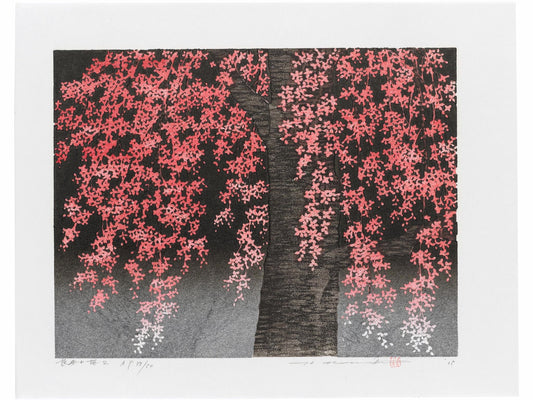 estampe japonaise de Namiki Hajme, un cerisier pleureur en fleurs sur fond noir et argent.