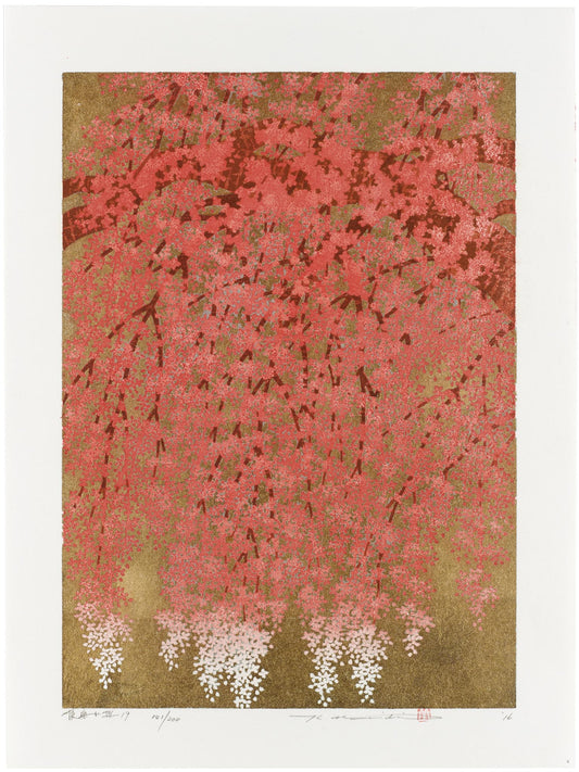 Estampe japonaise de Namiki Hajime, un cerisier pleureur en pleine floraison du rose au blanc, sur fond doré