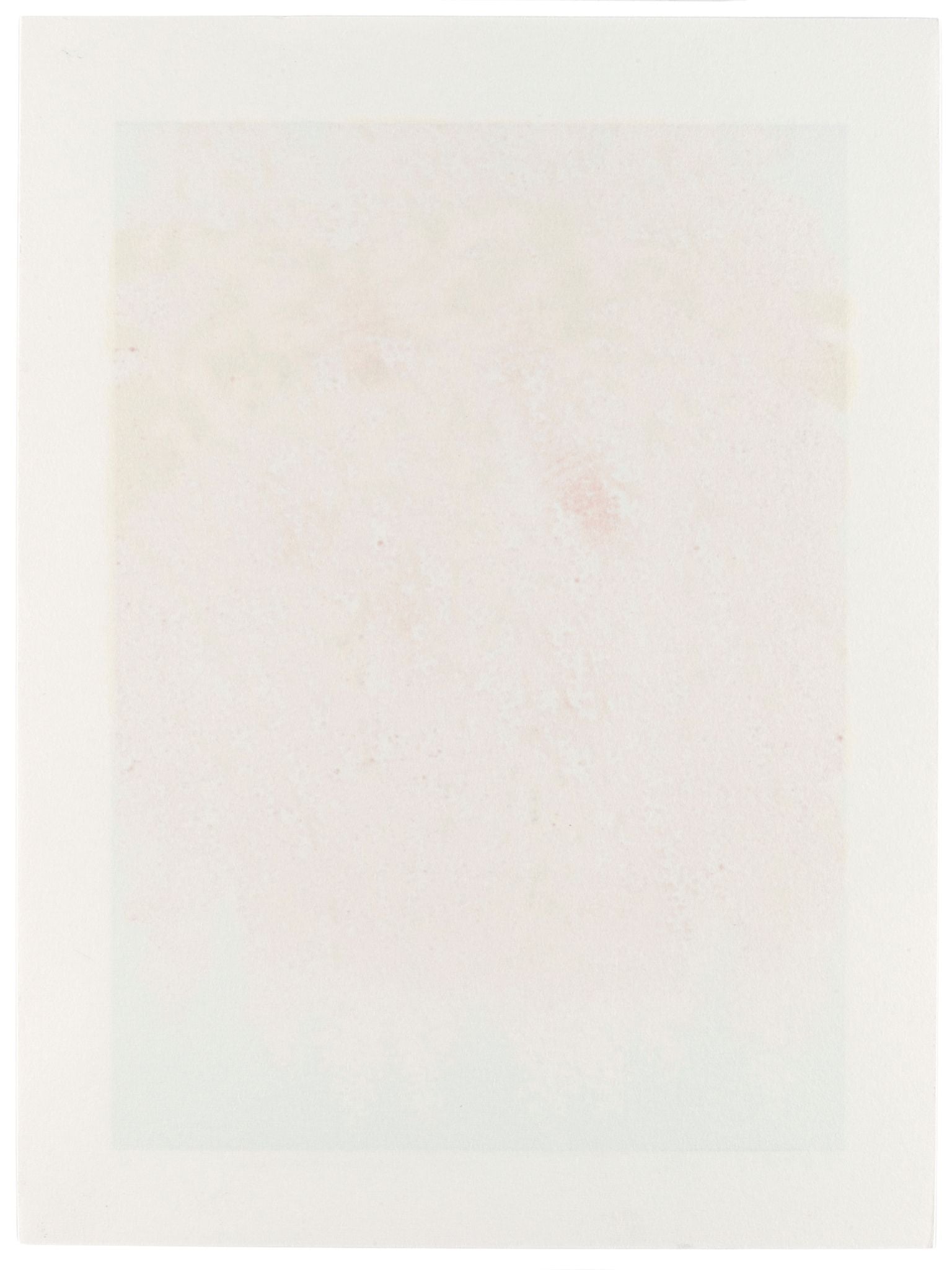 Estampe japonaise de Namiki Hajime, un cerisier pleureur en pleine floraison du rose au blanc, le verso