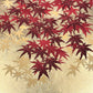 estampe japonaise de Namiki Hajime, feuilles d'érable rouge sur fond or, brillance