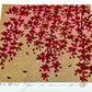 Estampe japonaise de Namiki Hajime, branches de cerisier pleureur fleurs rouges et roses sur fond or, vu de 3/4