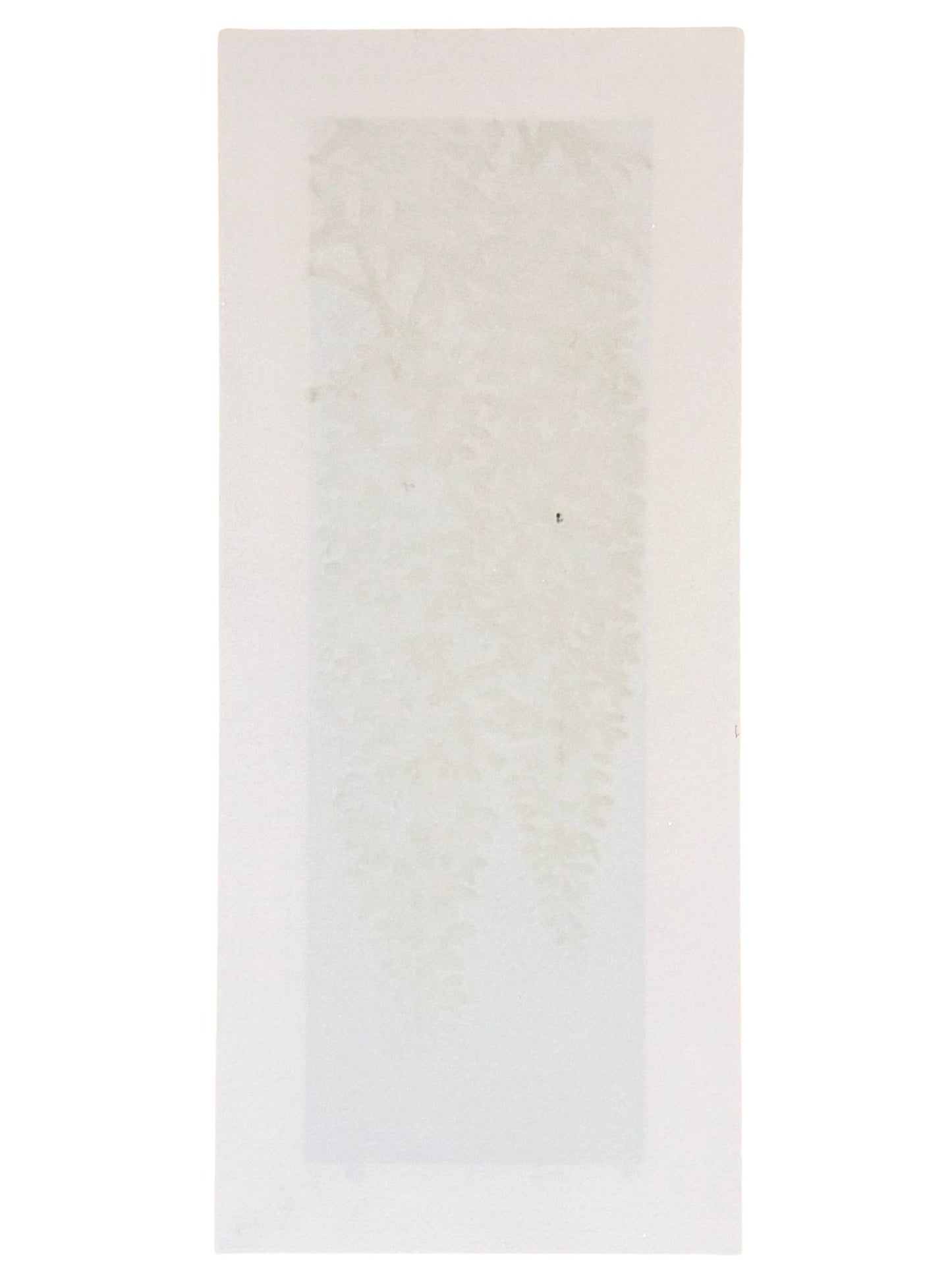 Estampe japonaise de Namiki Hajime, grappes de fleurs de glycine bleues sur fond or et argent, le verso
