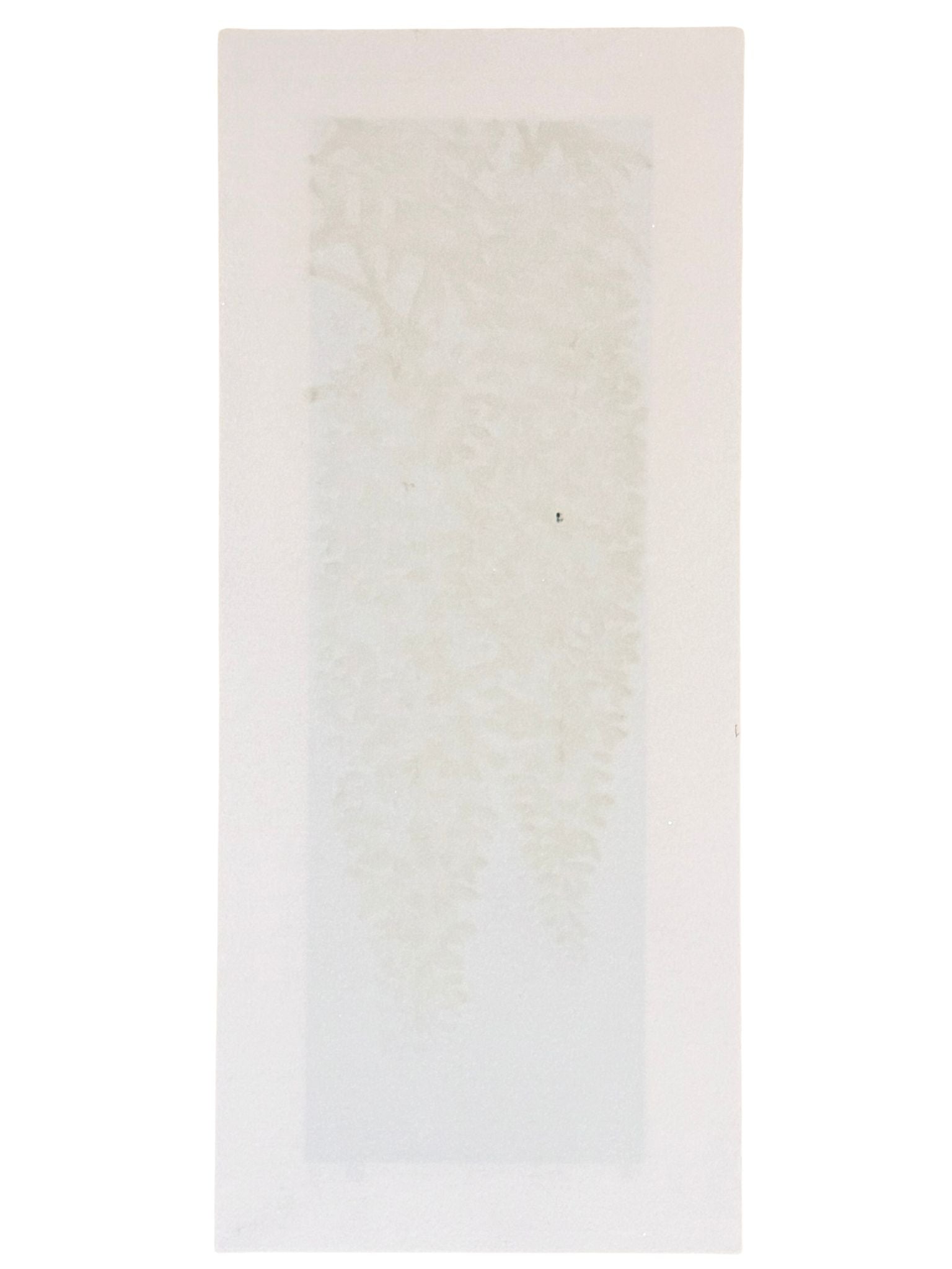 Estampe japonaise de Namiki Hajime, grappes de fleurs de glycine bleues sur fond or et argent, le verso