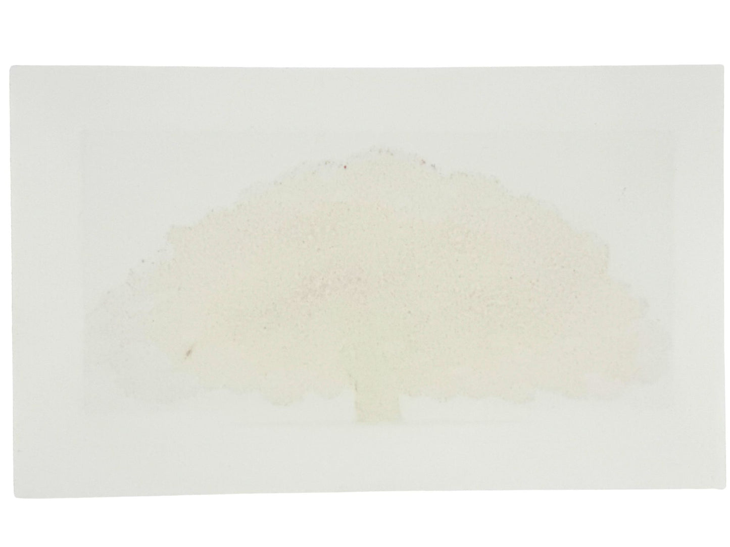 Estampe japonaise de Namiki Hajime représentant un arbre rouge flamboyant sur fond doré, le verso