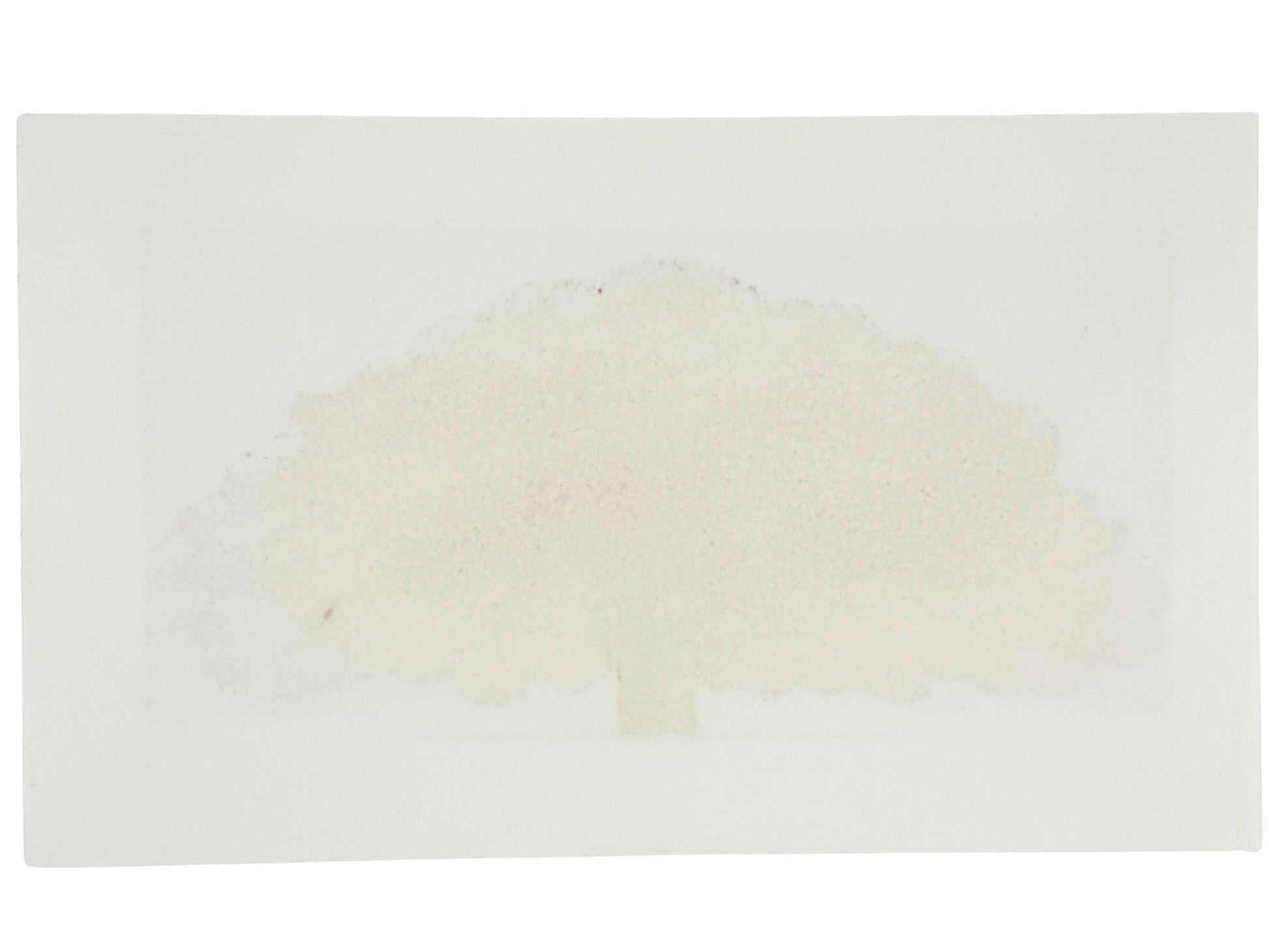 Estampe japonaise de Namiki Hajime représentant un arbre rouge flamboyant sur fond doré, le verso