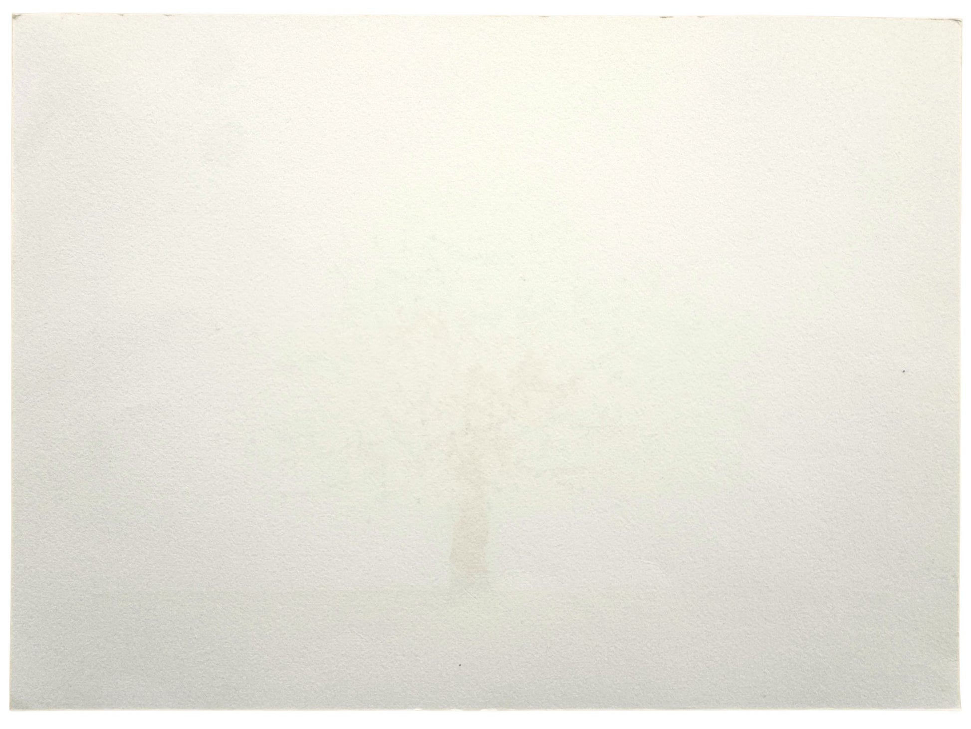 Estampe japonaise de Namiki Hajime représentant un magnolia bleu en fleur sur fond argenté verso