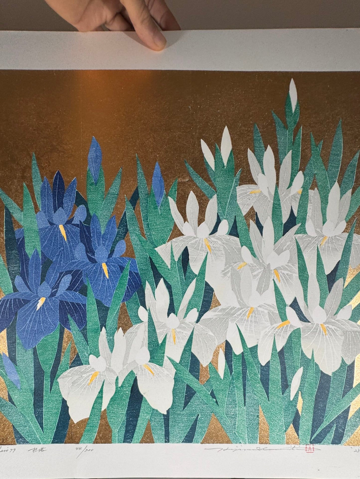 estampe japonaise de Namiki Hajime, Iris blancs et iris bleus sur fond or, le reflet de l'or