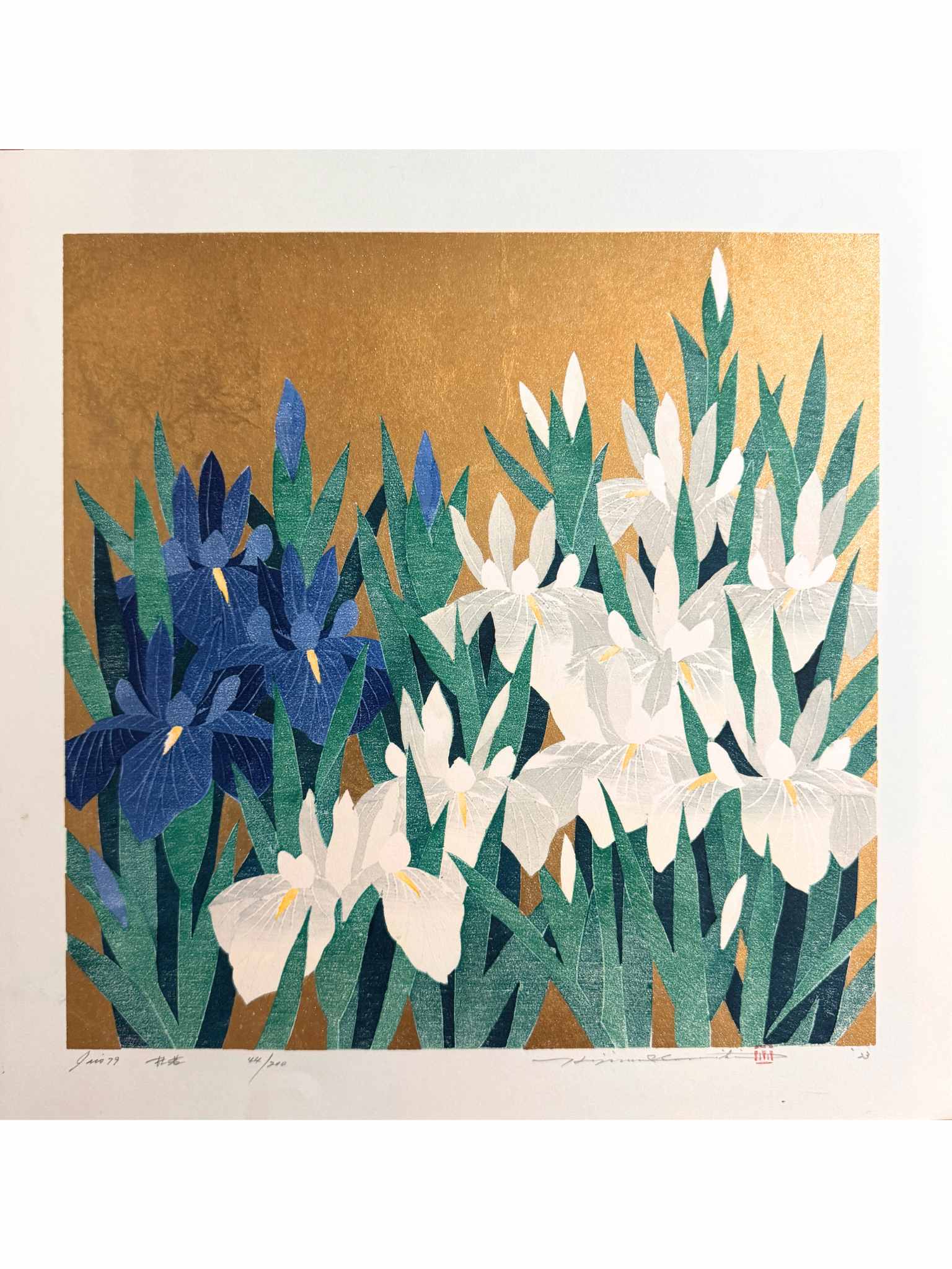 estampe japonaise de Namiki Hajime, Iris blancs et iris bleus sur fond or.