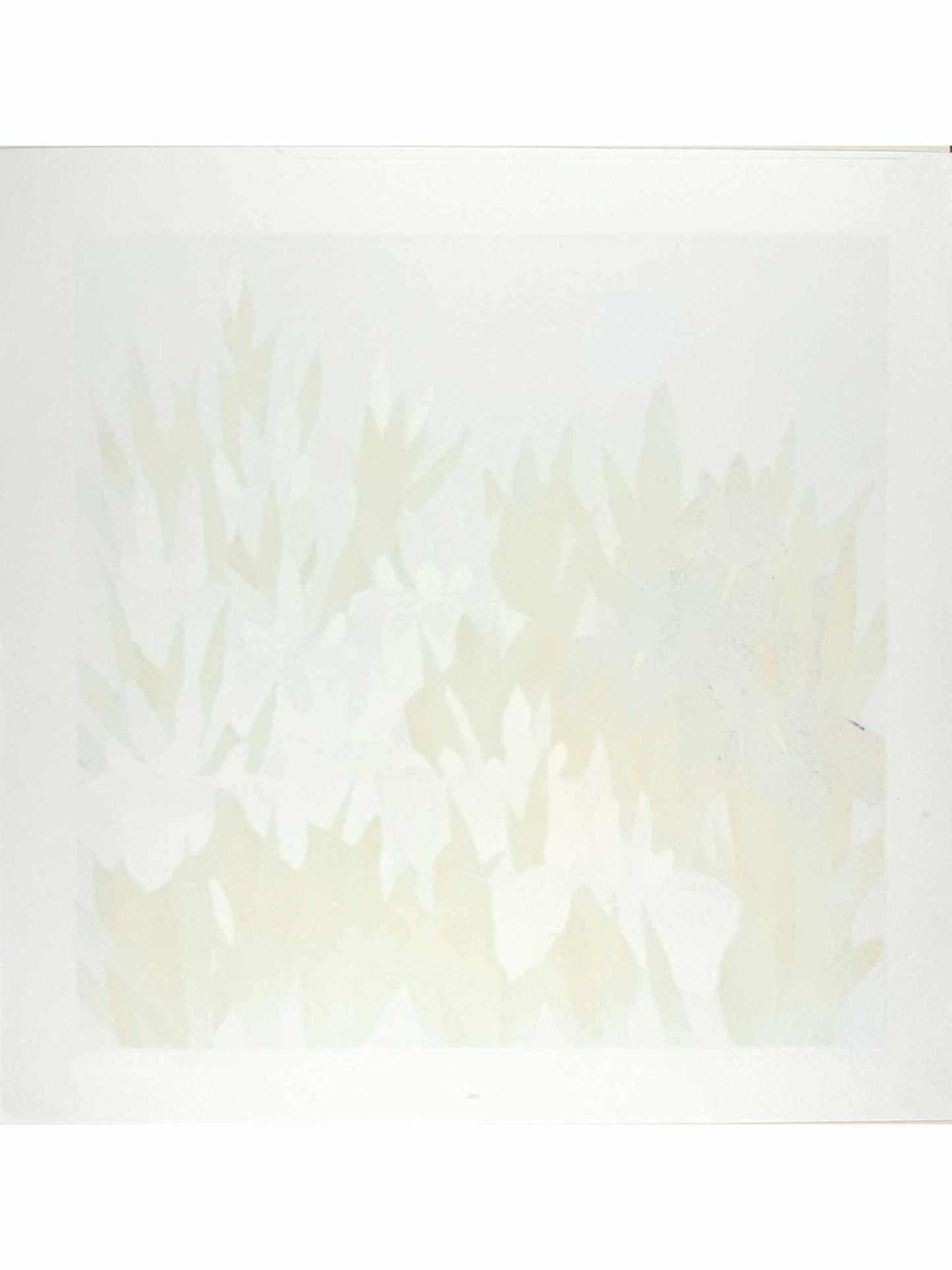 estampe japonaise de Namiki Hajime, Iris blancs et iris bleus sur fond or, le verso
