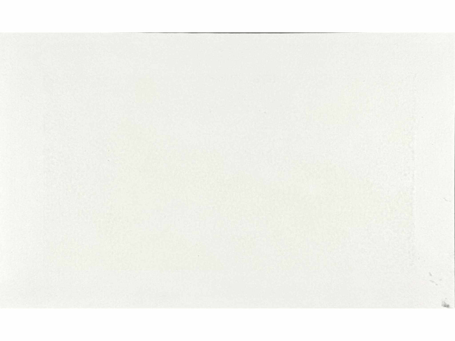 estampe japonaise contemporaine de Namiki Hajime, des branches de cerisiers en fleurs éclairées la nuit; le verso de l'estampe
