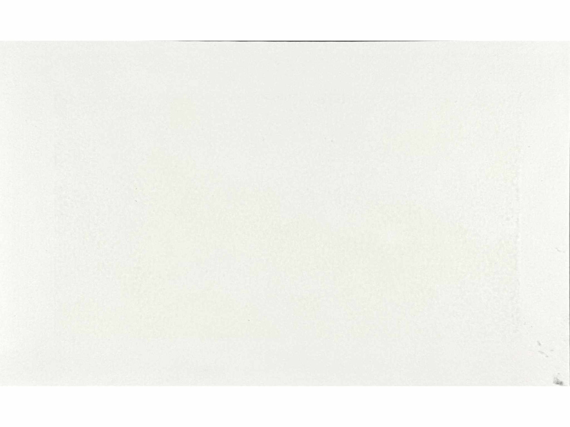 estampe japonaise contemporaine de Namiki Hajime, des branches de cerisiers en fleurs éclairées la nuit; le verso de l'estampe