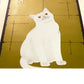estampe japonaise de Nishida, chat blanc observant un libellule sur fond or, vu de profil le reflet du doré