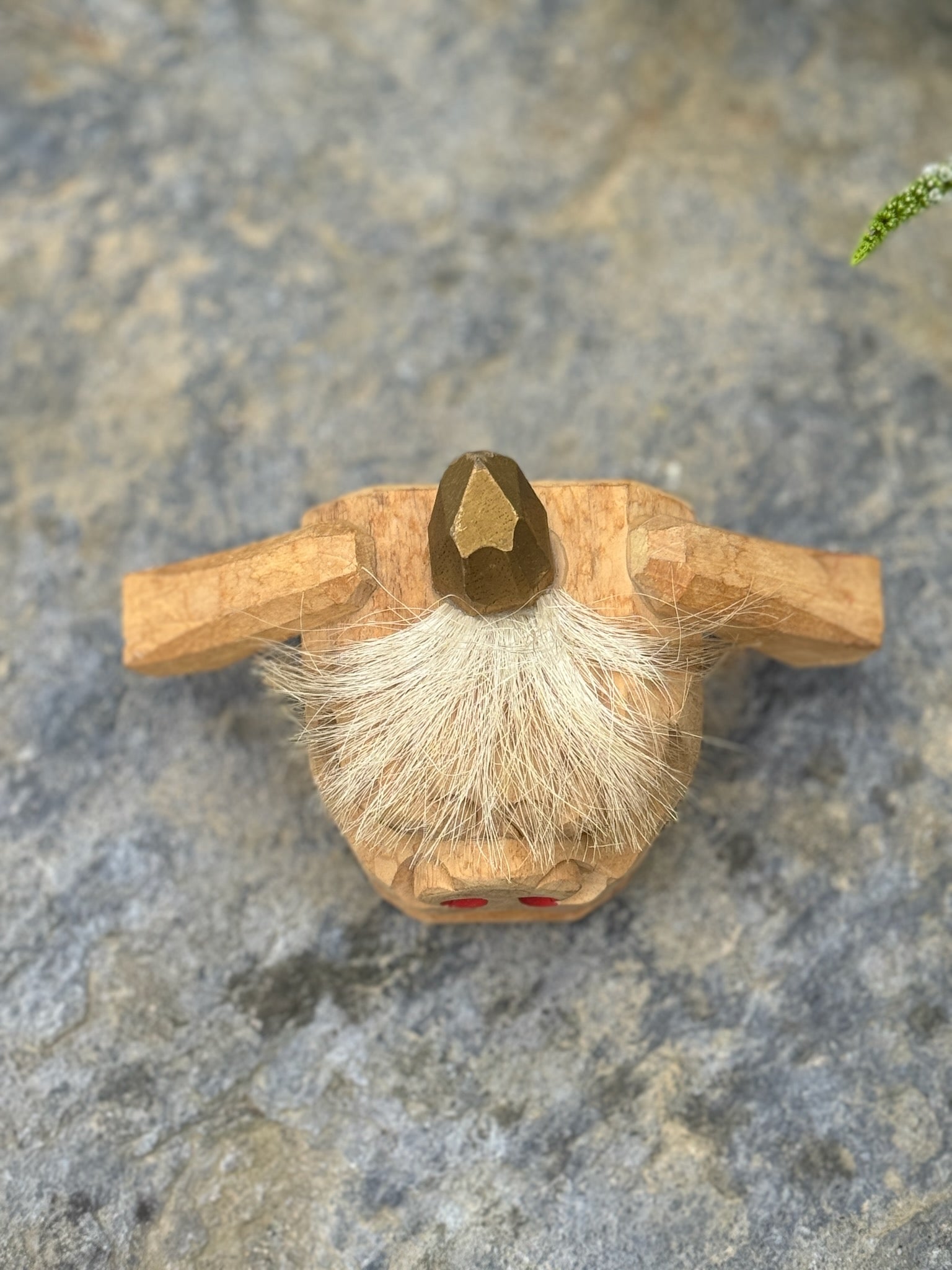 tête de lion kaka vue dessus