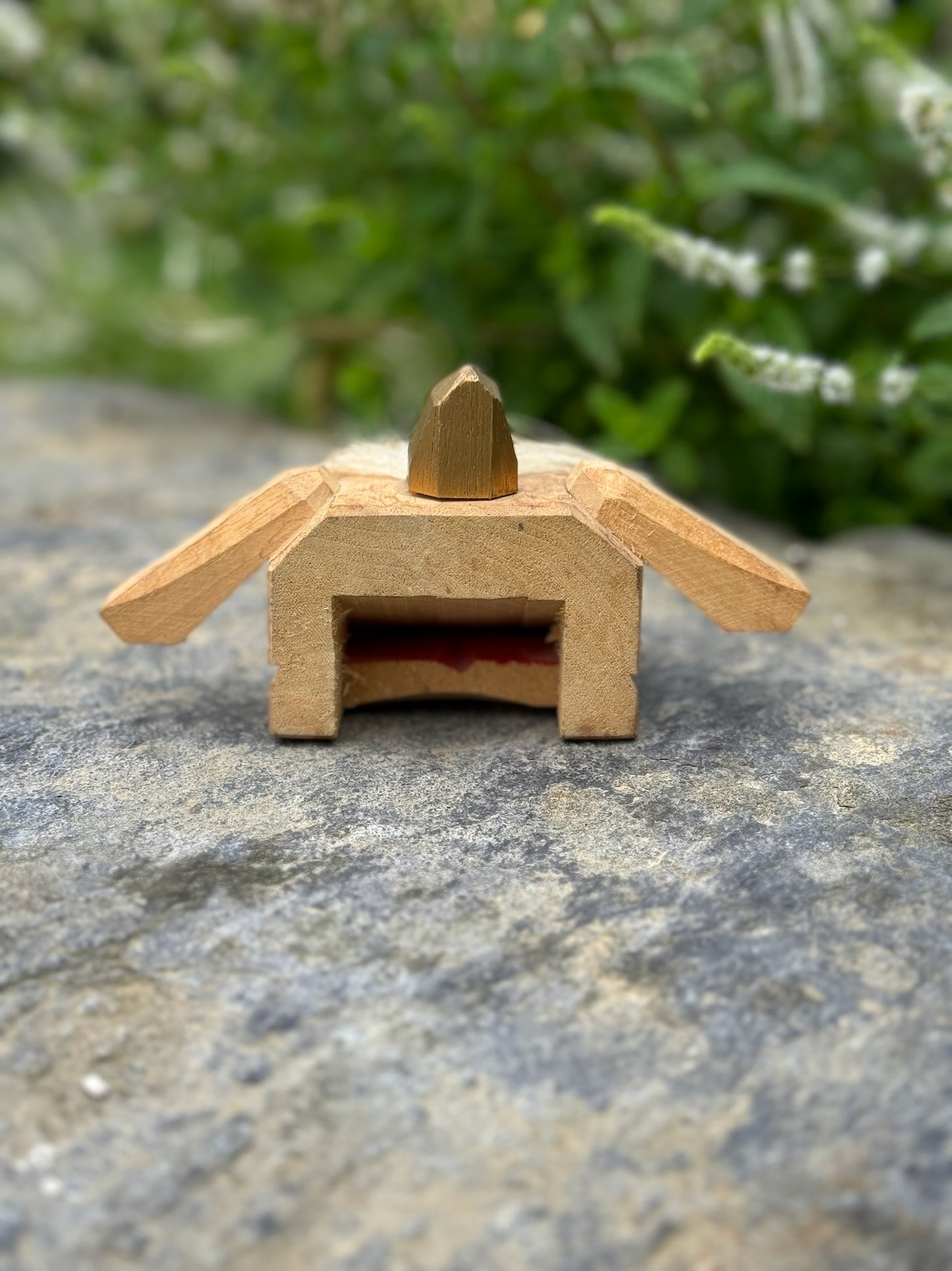 tête de lion kaka de dos