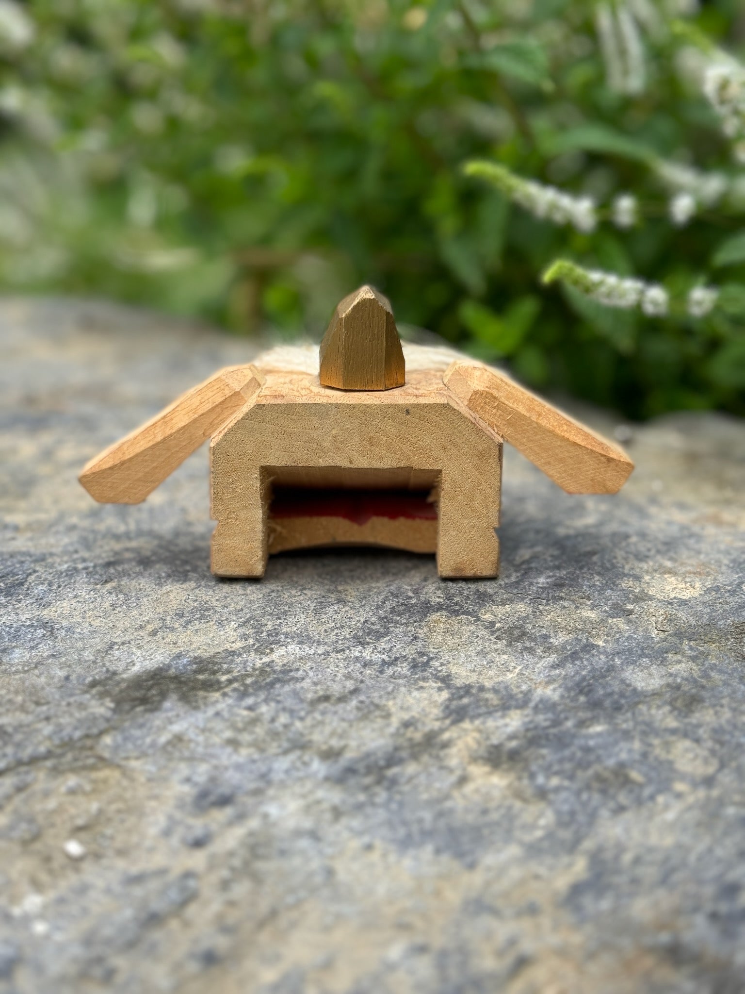 tête de lion kaka de dos