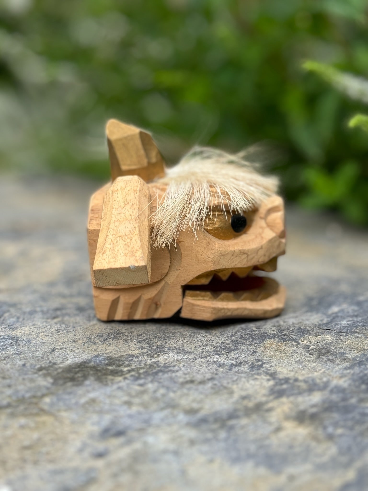 tête de lion kaka profil droit