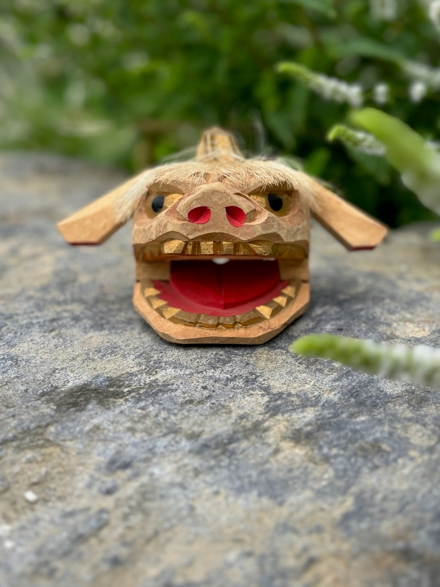 tête de lion kaka gueule ouverte face