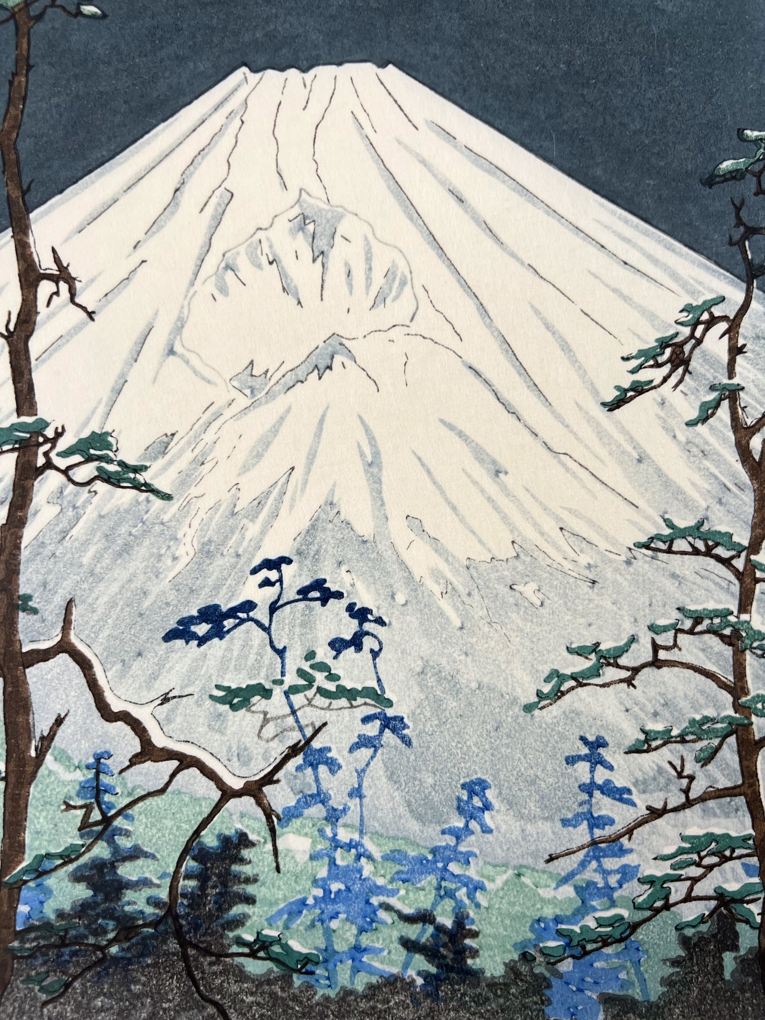 estampe japonaise Mont Fuji blanc dans le gris bleu sombre de la nuit, arbres bleus au premier plan, le sommet
