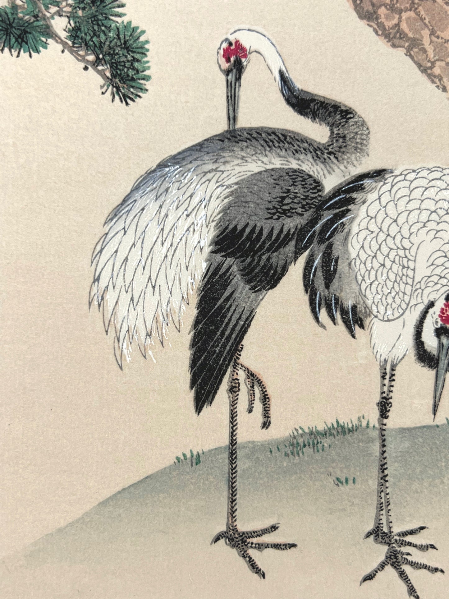 estampe japonaise deux grues sous un pin, une grue sur une patte