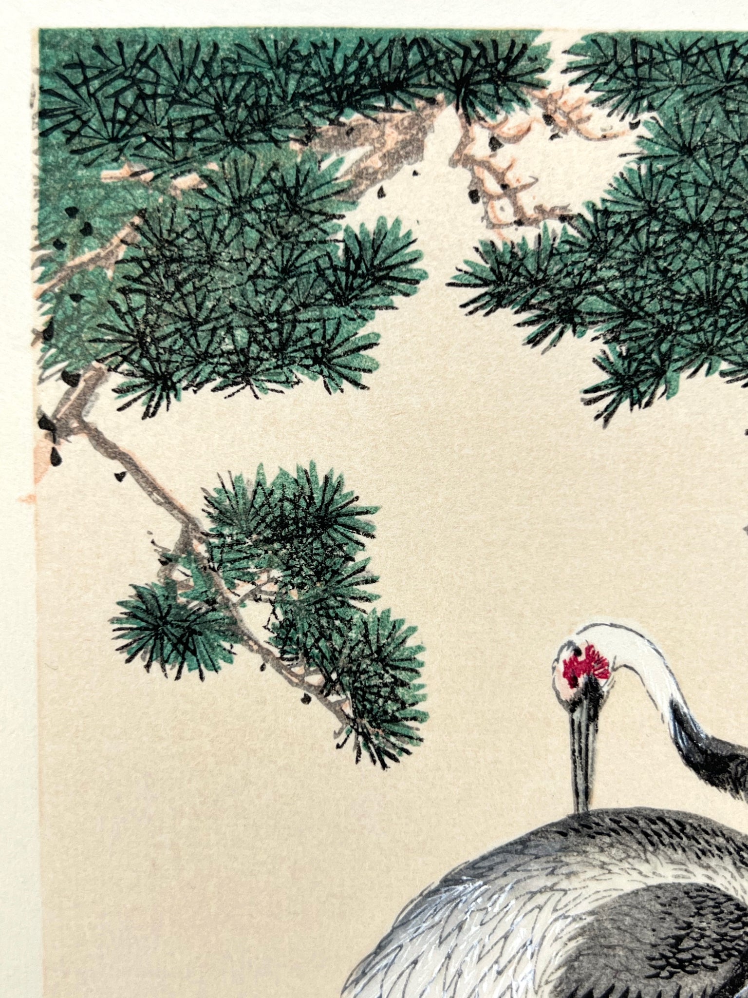 estampe japonaise deux grues sous un pin, branche de pin
