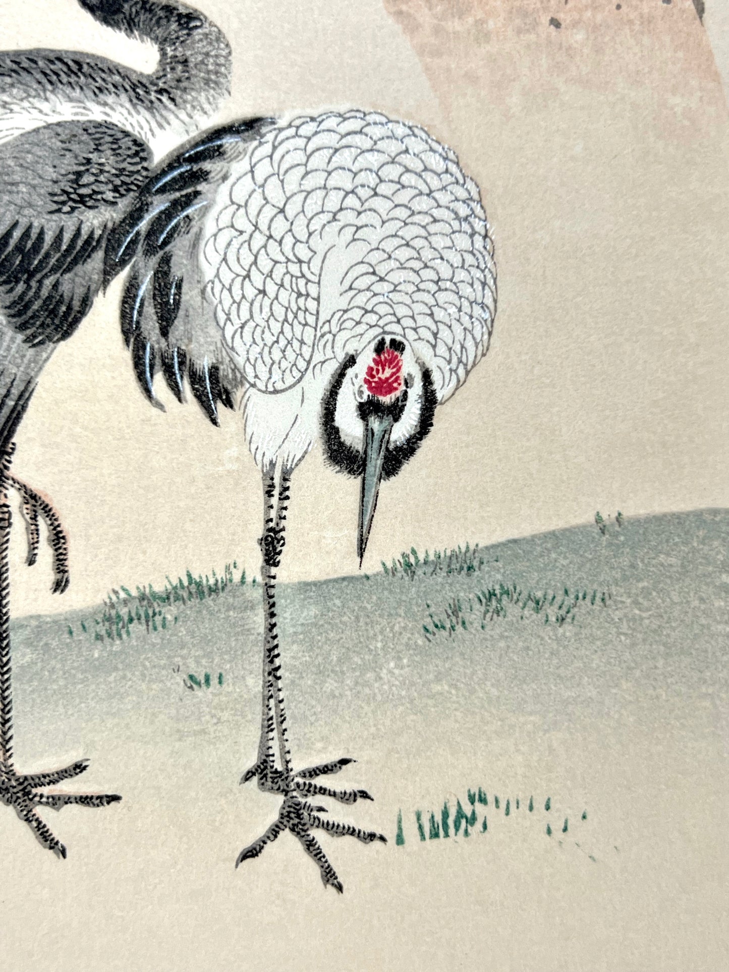 estampe japonaise deux grues sous un pin, grues tête en bas