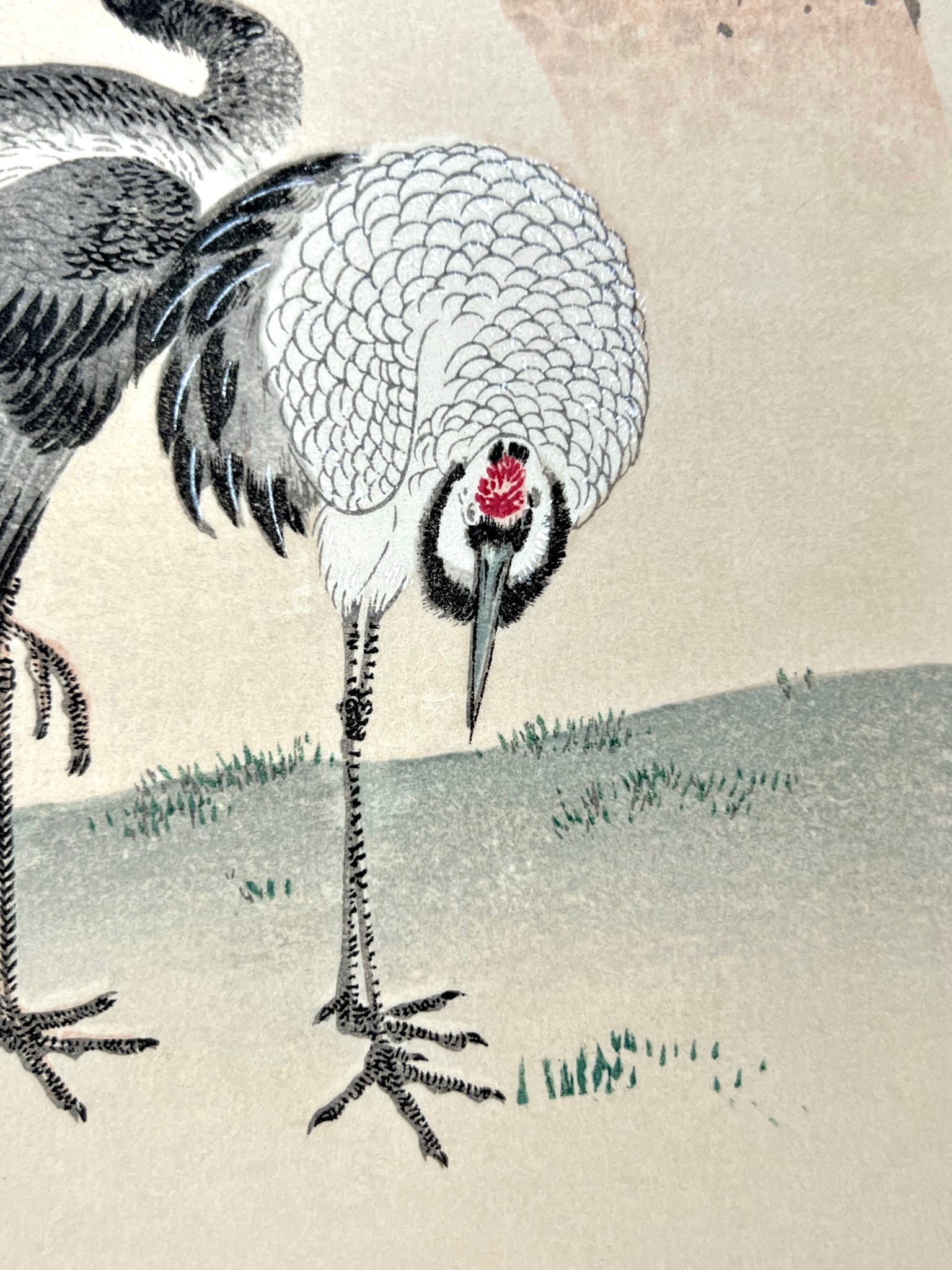 estampe japonaise deux grues sous un pin, grues tête en bas