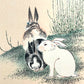 gros plan sur les 3 lapins, un blanc, un noir et un noir et blanc