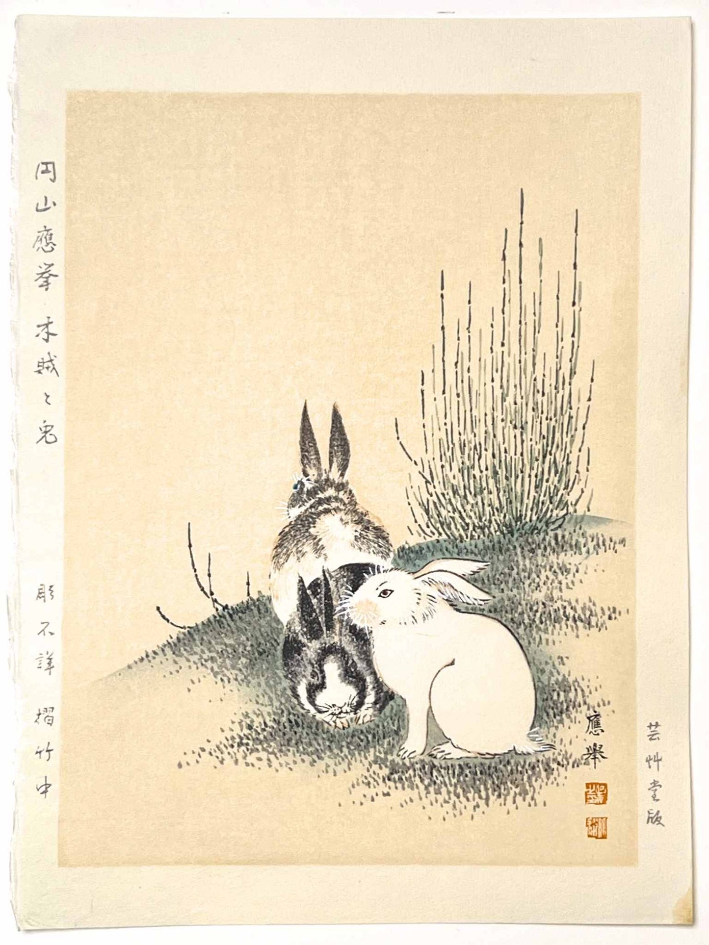 Estampe Japonaise de Ōkyo Maruyama - Lapins et prêles japonaise