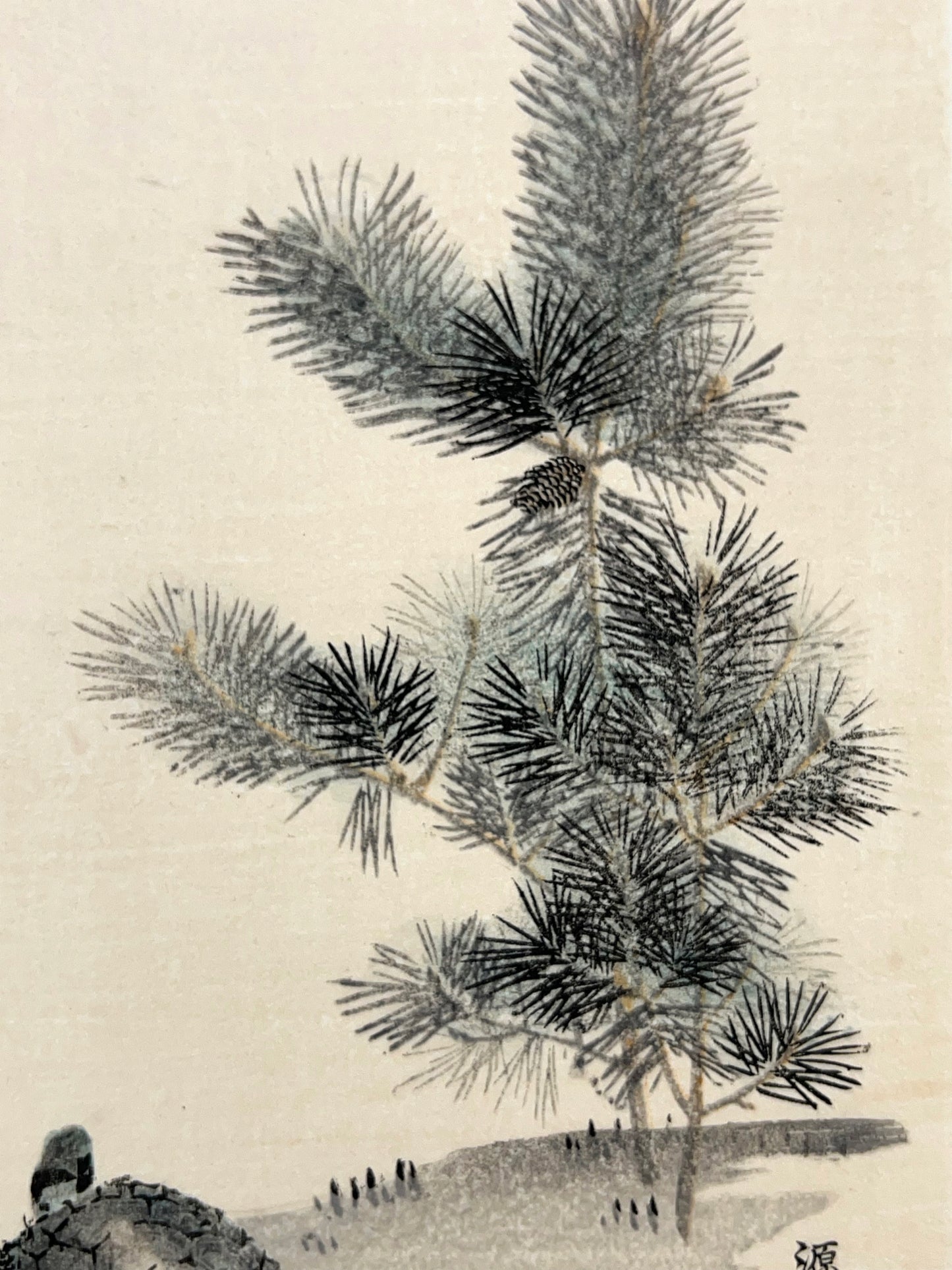 estampe japonaise tortue et pin, détail pin