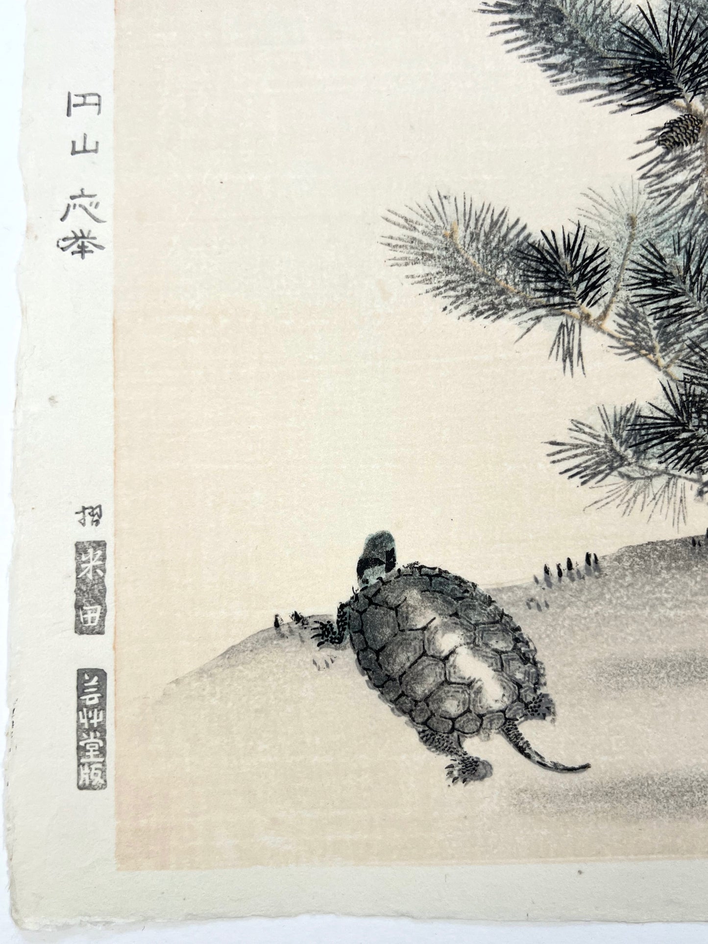 estampe japonaise tortue et pin, calligraphie