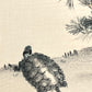 estampe japonaise tortue et pin, détail tortue