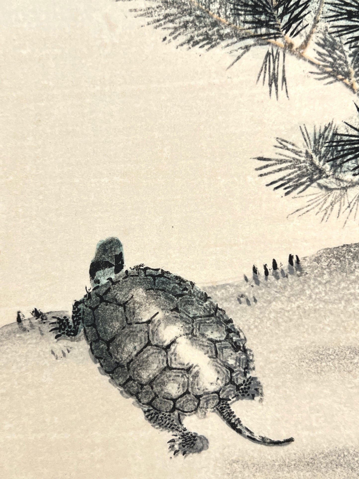 estampe japonaise tortue et pin, détail tortue