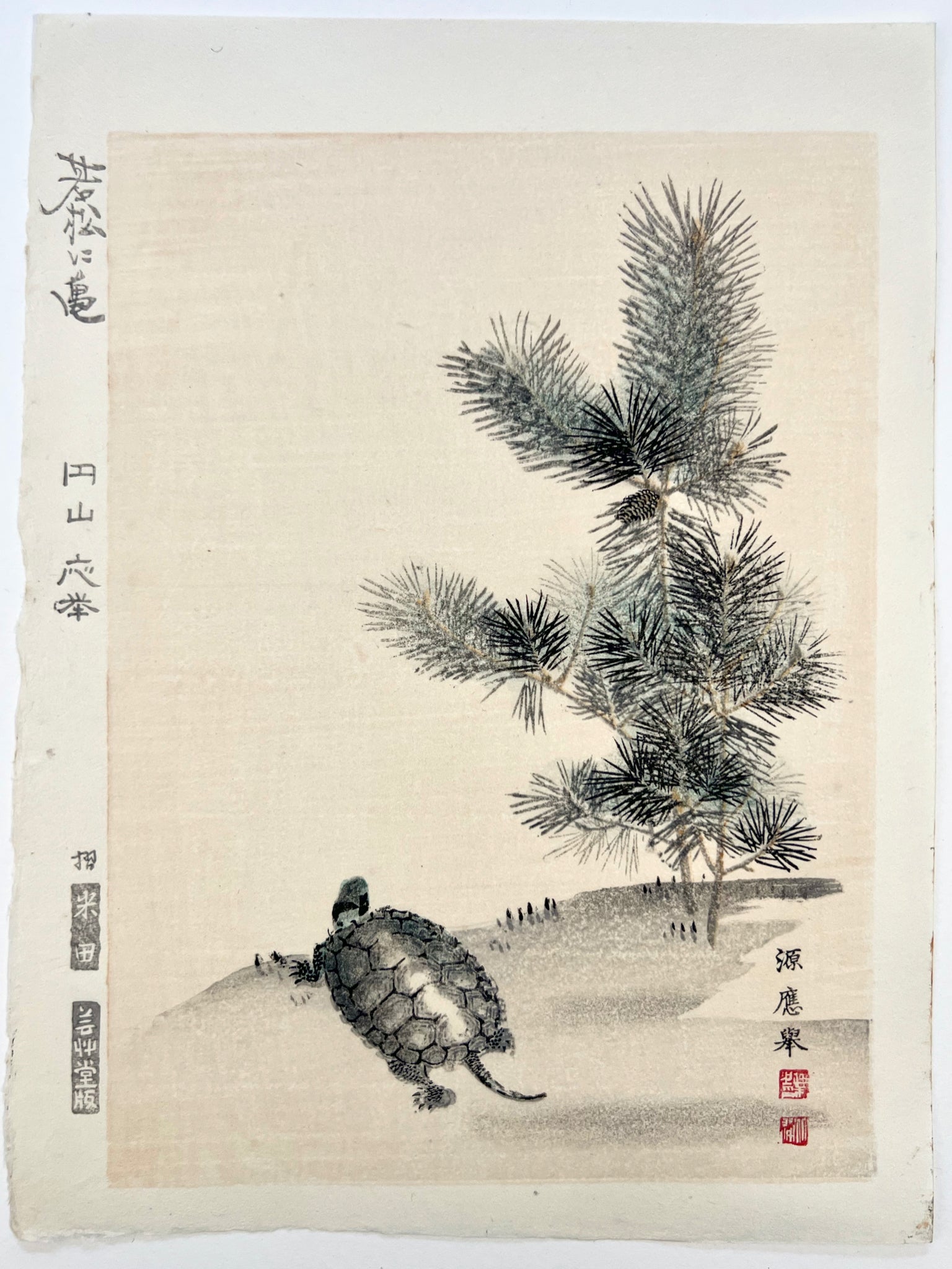 estampe japonaise tortue et pin