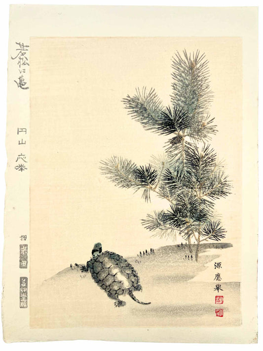 estampe japonaise tortue et pin