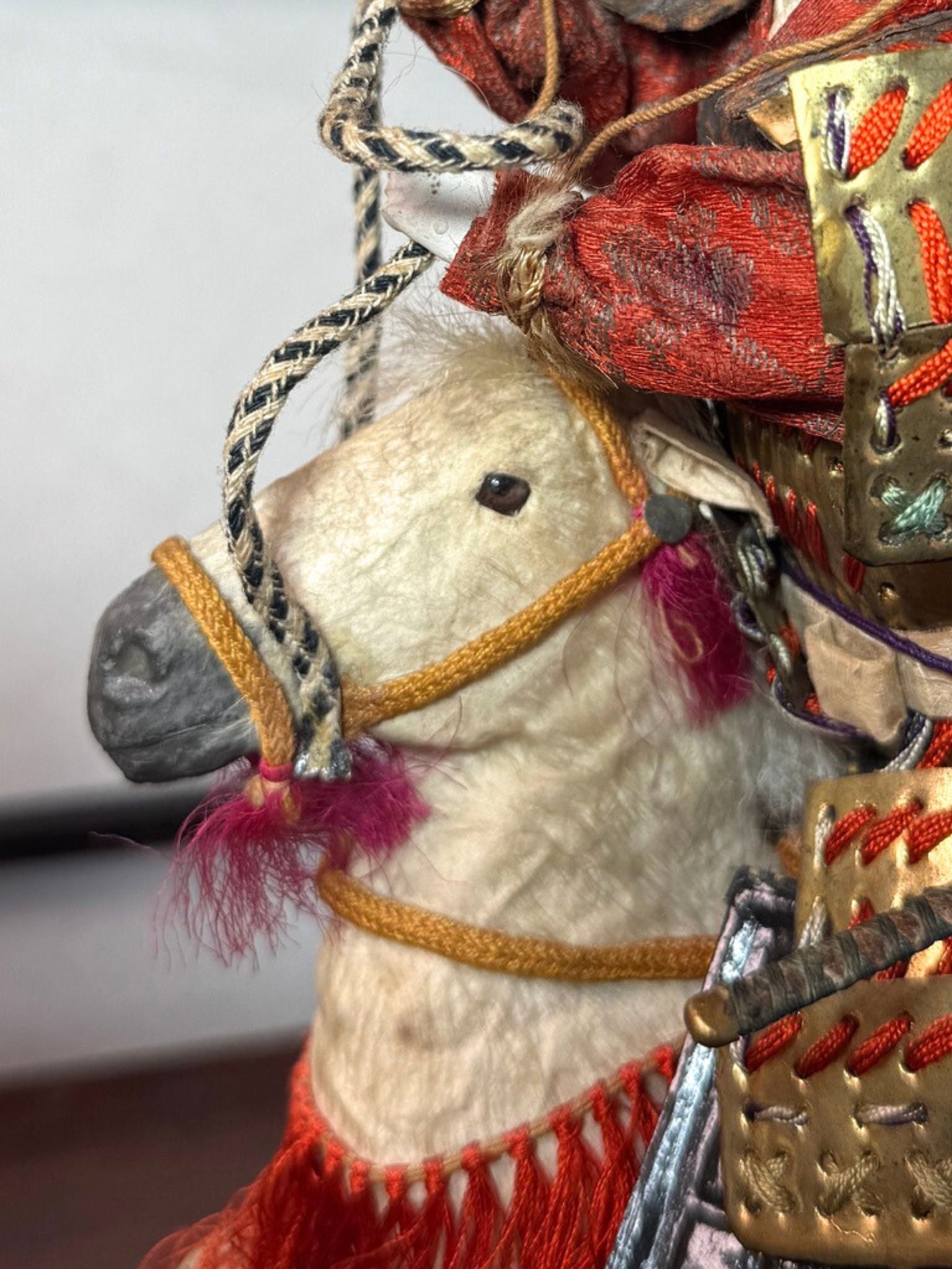 gros plan sur la tête du cheval blanc