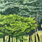estampe japonaise temple jardin mousse foret, arbres vert