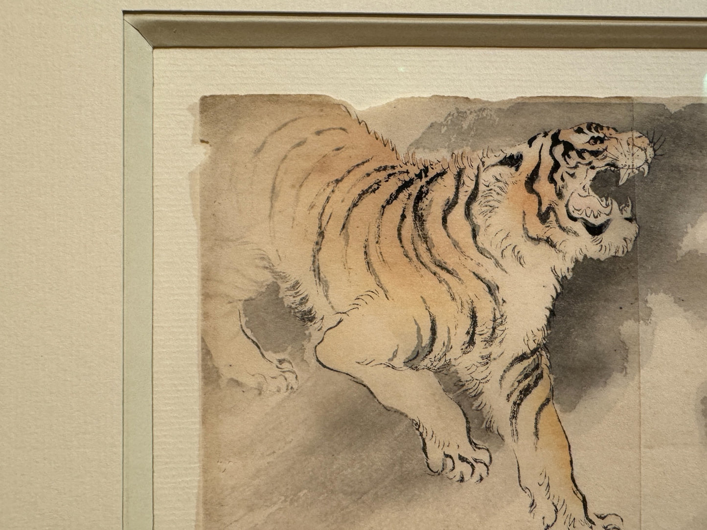 estampe japonaise le tigre rugissant et angle du biseau